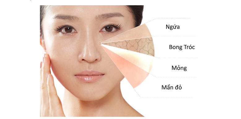 Taiyo cosmetics