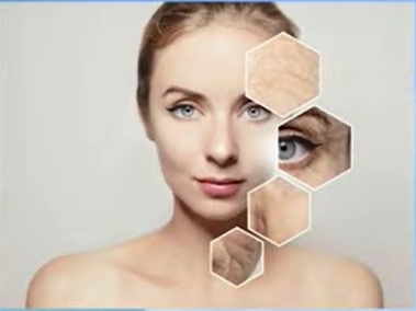 Taiyo cosmetics